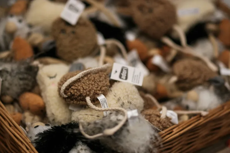 Sachspenden für Katzen